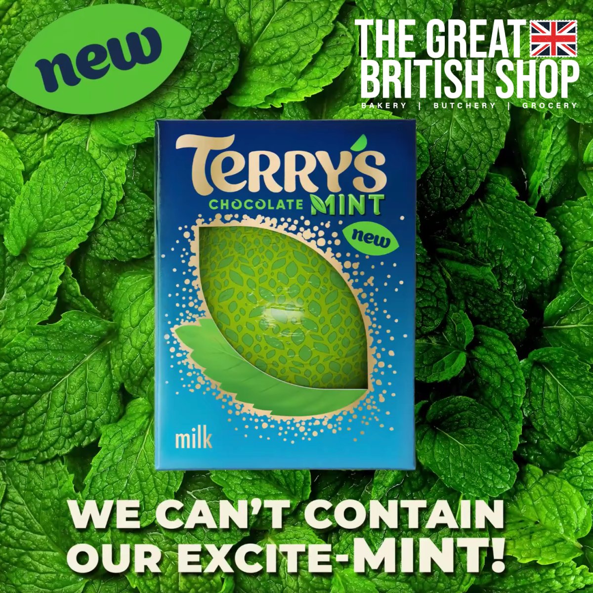 Terry's Chocolate Mint! - The Great British Shop